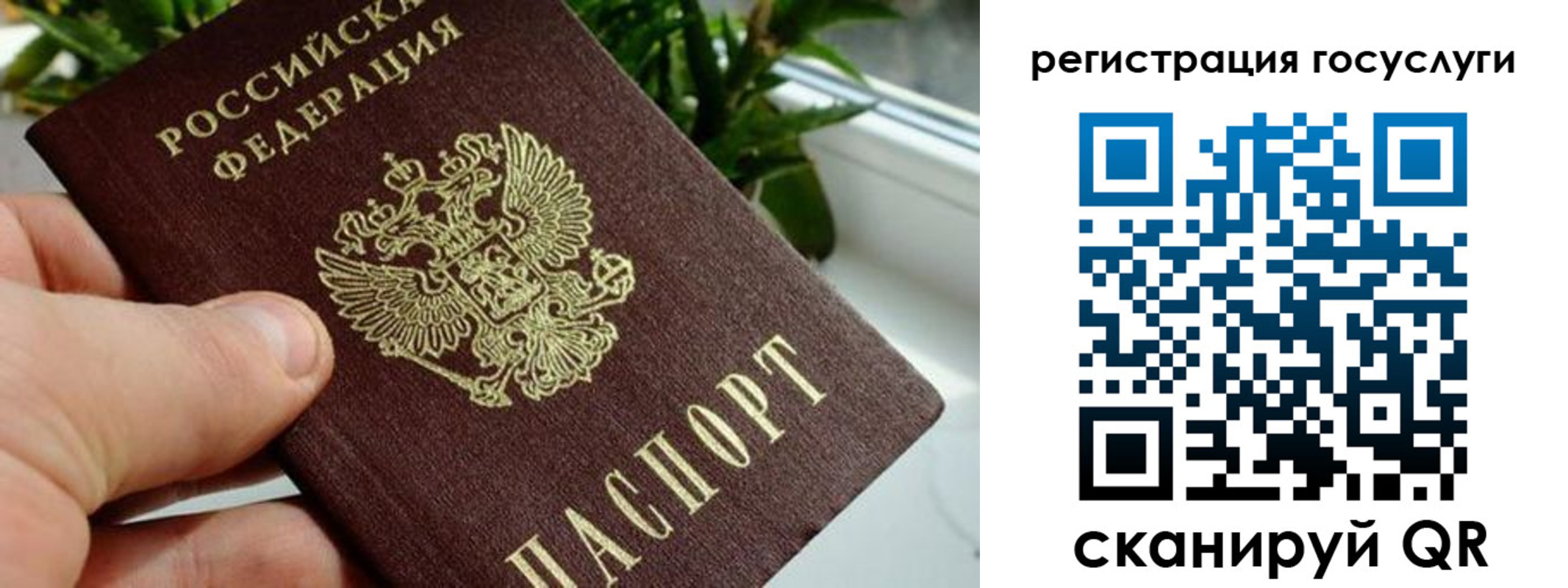 прописка для кредита в Чайковском